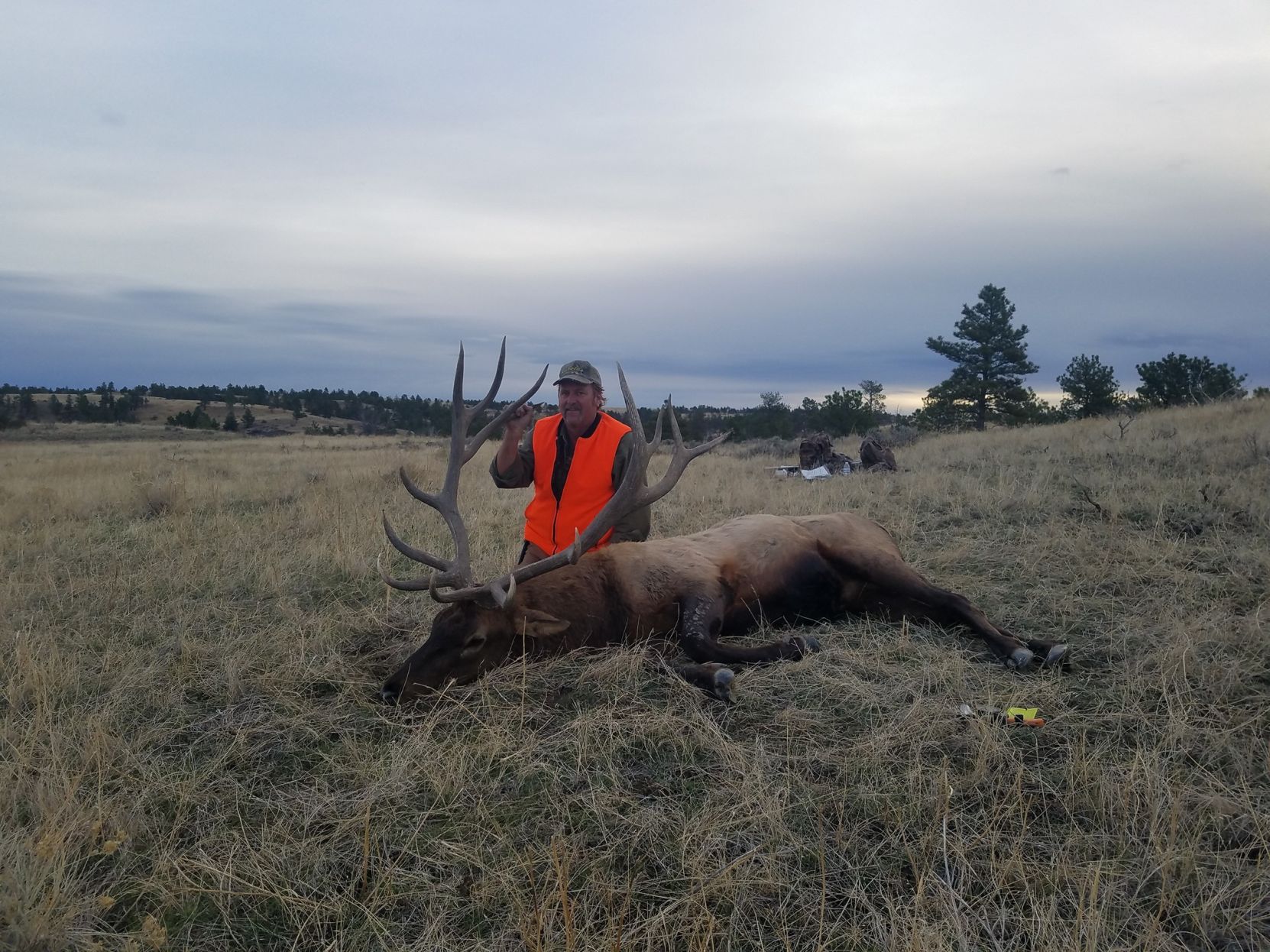 Hunting trophy